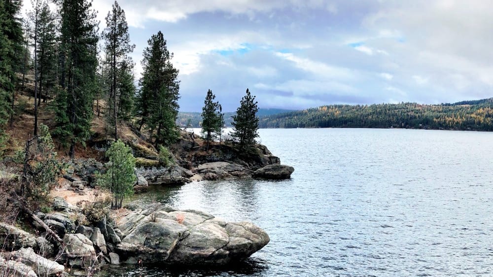 טאבּז היל פארק