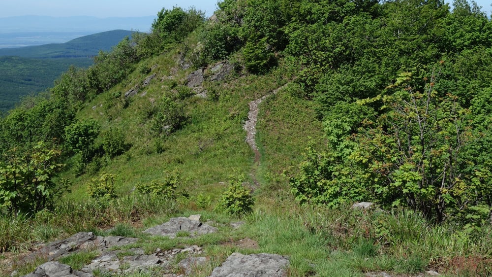 וִיהוֹרְלאט