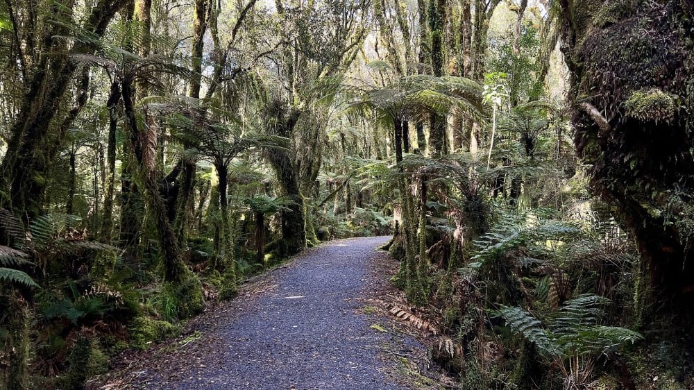 מסלול טֶה וֶוהֶקָה בפארק הלאומי וֶסטלֶנד טָאי פּואוּטיני