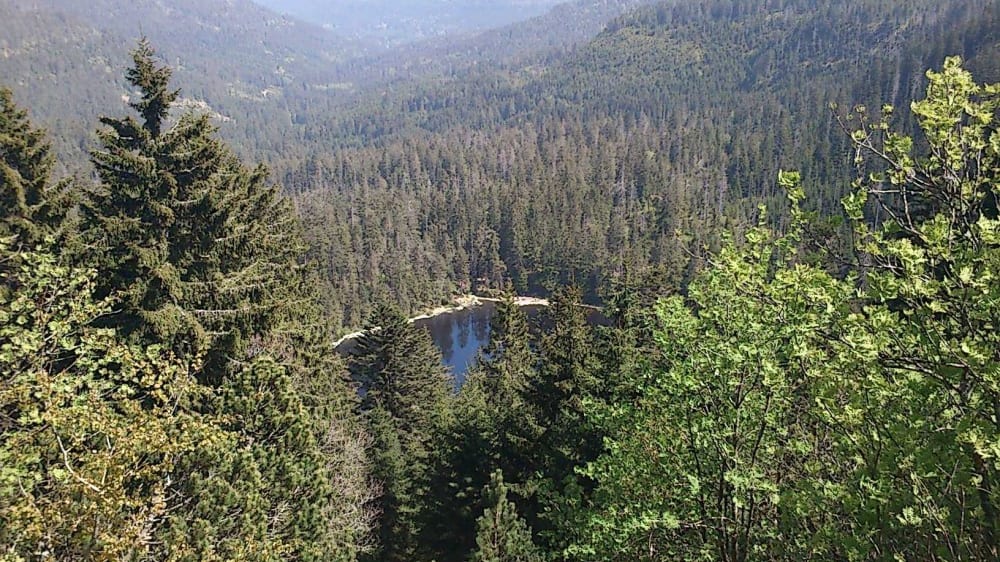 אגם וִילד - תצפית מלמעלה