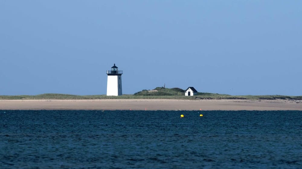 מגדלור ווד אנד