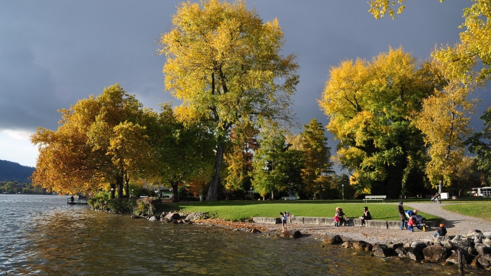 ציריכהוֹרן פארק