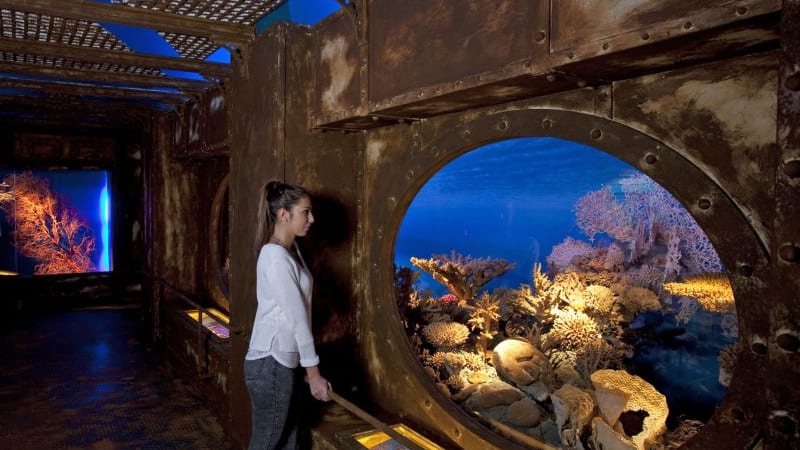 אחד מאולמות התצוגה במוזיאון לטבע