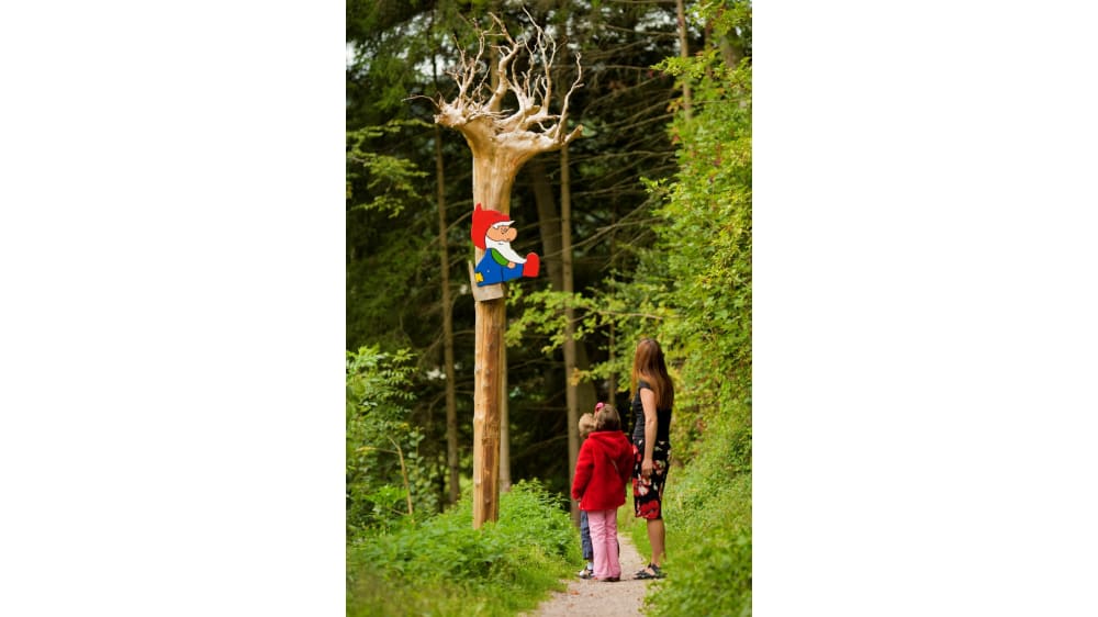 גמד היער האדֶמאר נח על העץ