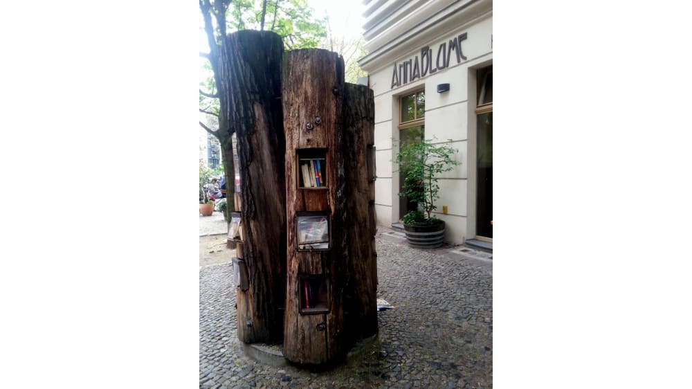 ספריית השאלה בגזעי עצים