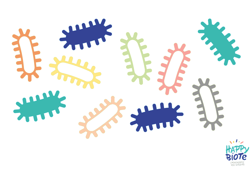 Le lexique Happybiote