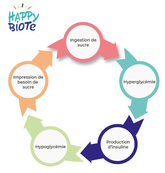 Le lexique Happybiote