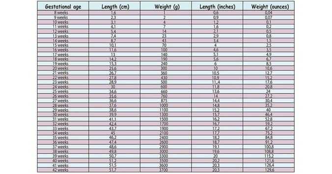 34 Weeks Baby Weight In Kg Chart