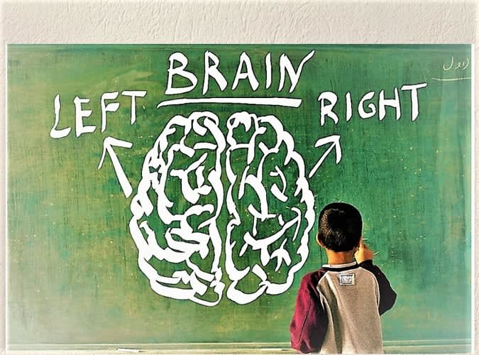 left and right brain hemisphere