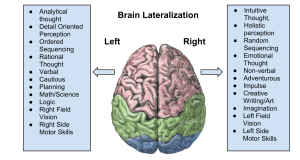 functions of right and left hemispheres
