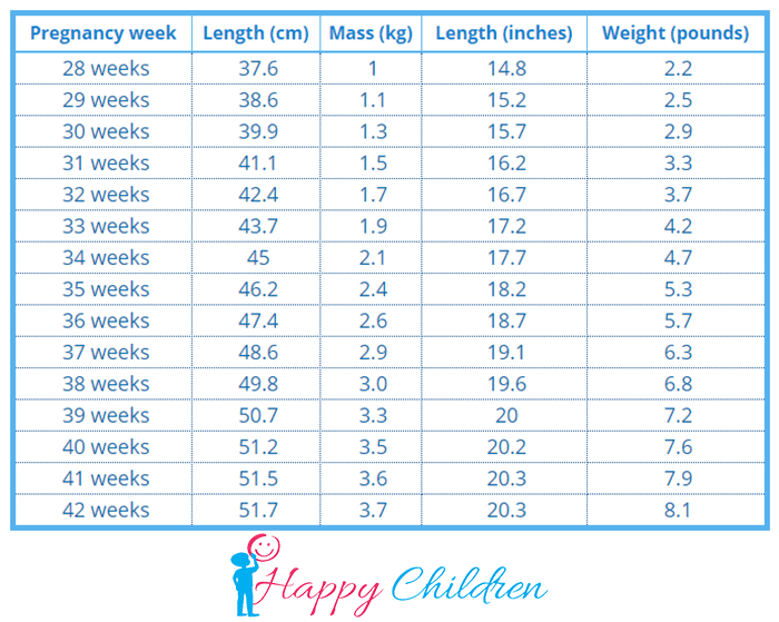 Fetal Growth Chart The Children S Happiness Guide