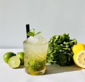 Exotisk Mojito 4cl