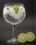 Gin & Tonic