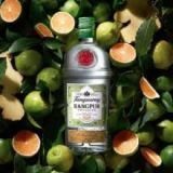 Tanqueray Rangpur