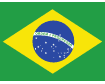 Brazil flag