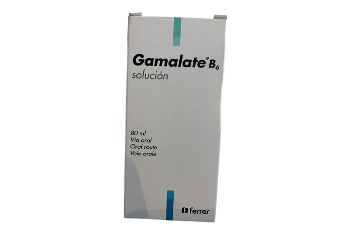 Gamalate Syrup 80ml