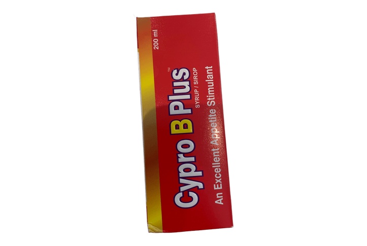 Cypro B Plus Syrup 200ml Syrup