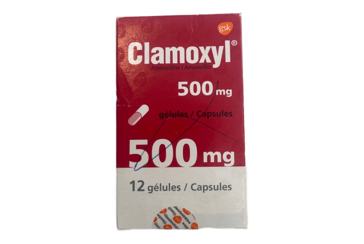 clamoxyl 500mg b/12