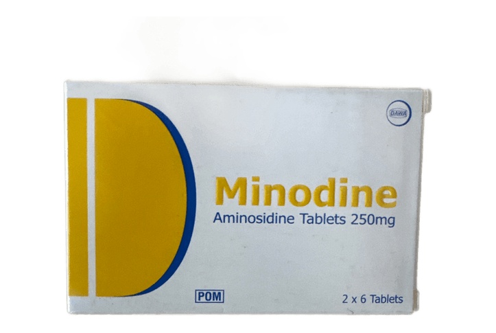 Minodine (Aminosidine) 250mg Tab/12