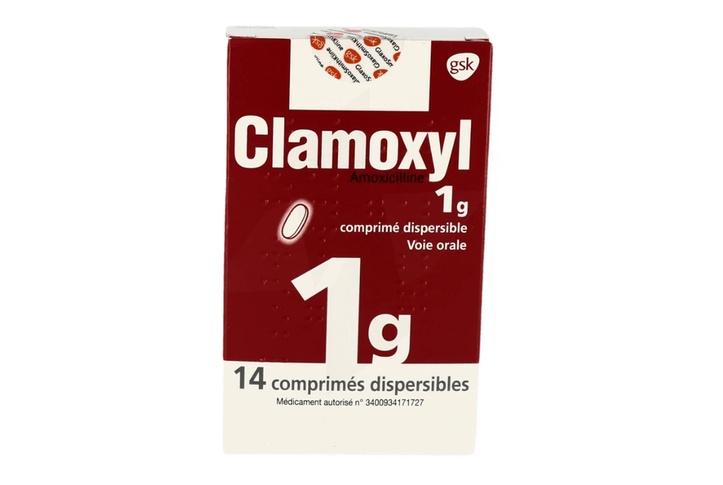 clamoxy 1gr