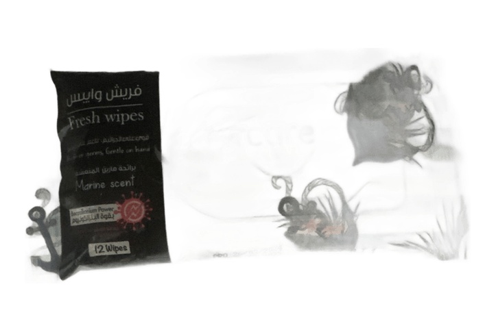 Easy Care Fresh Marine Scent Wipes 12 Wipes