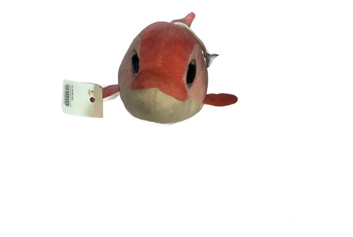 Big Eye Dolphin 25cm