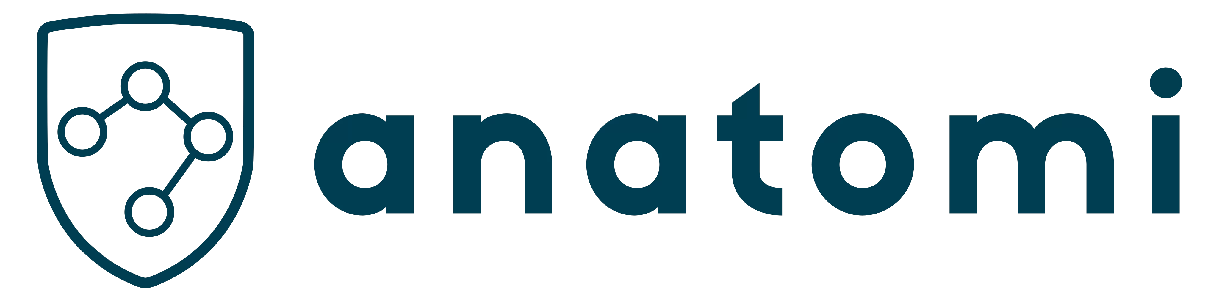 Anatomi