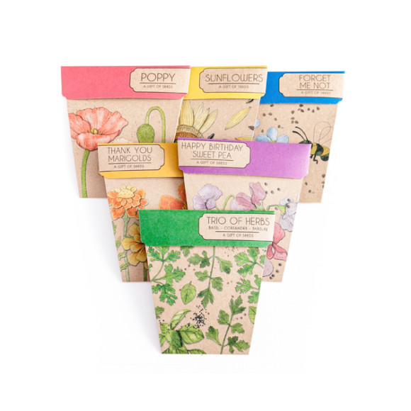 Seed gift packets (set of 6) | hardtofind.
