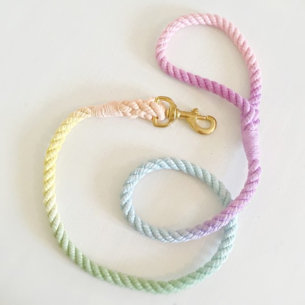 Rainbow rope dog leash sales
