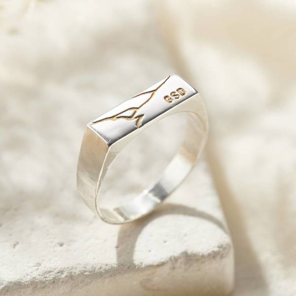 Signet ring designs hot sale