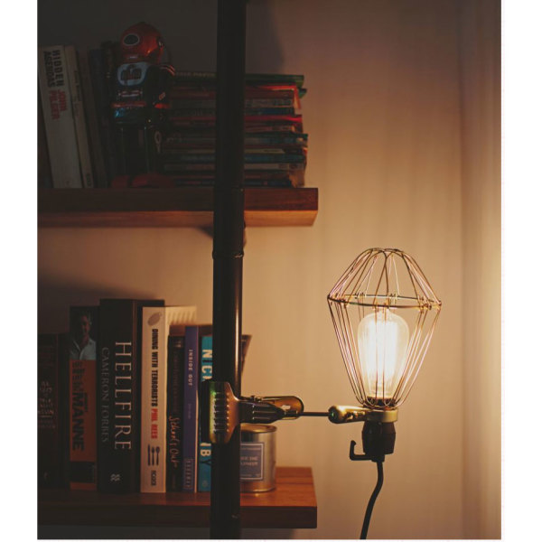 Clip for store light fixture