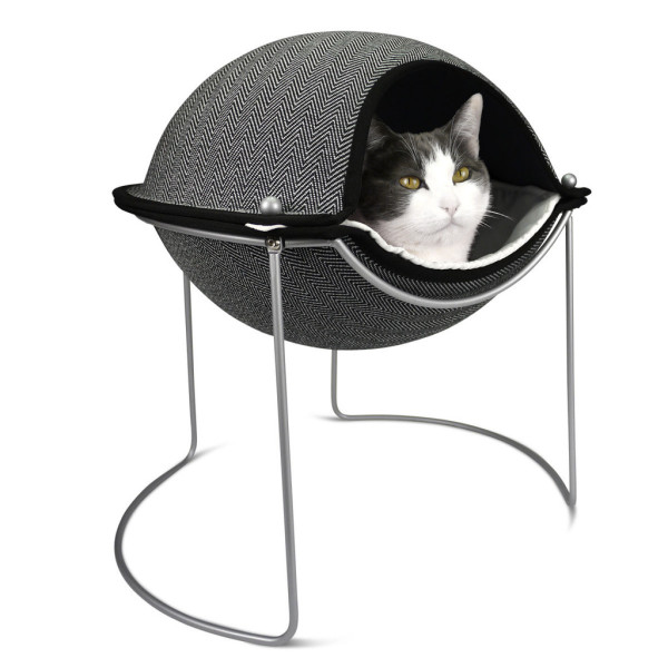 cat pod