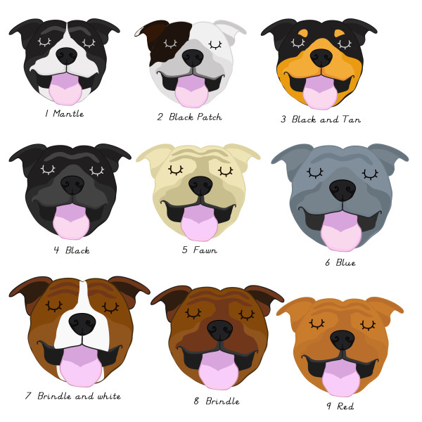 Top staffy names cheap