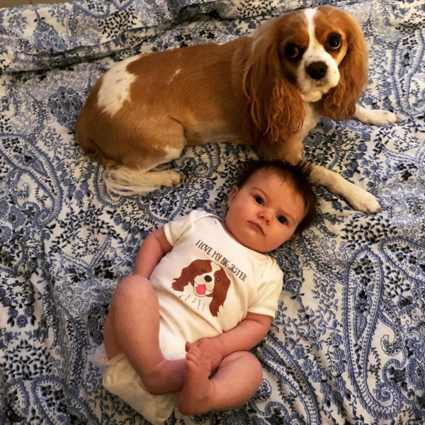 Puppy baby grow shop
