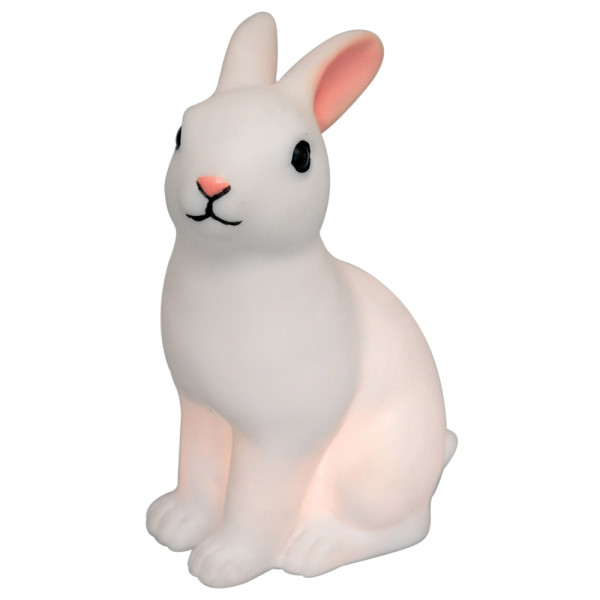 Rabbit store led light