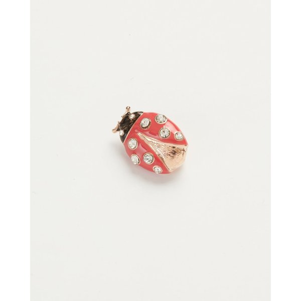 Ladybird brooch deals