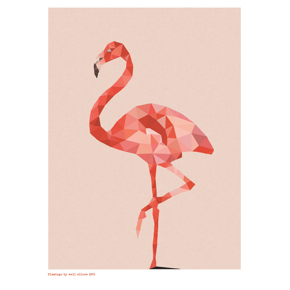 flamingo_1