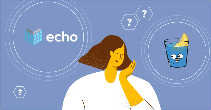 GIN Vs Echo: A Guide To Choosing The Right Go Framework