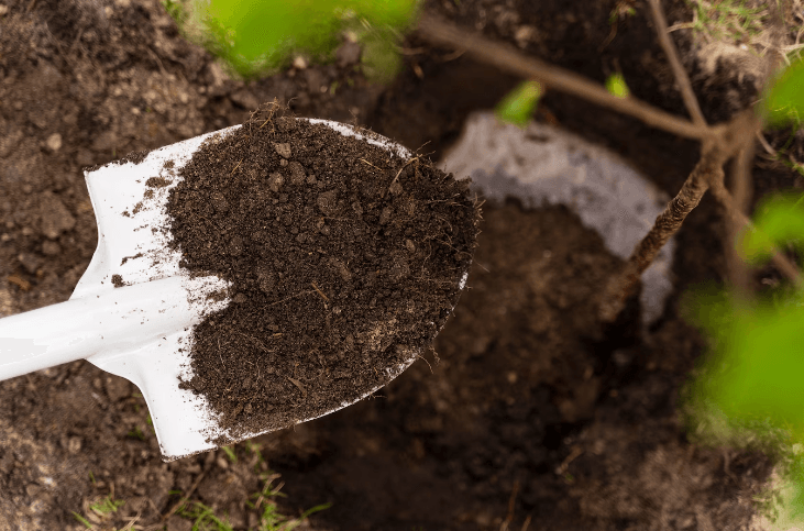 Soil Health and Residual Effects.png