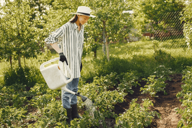 pesticides in agriculture.png