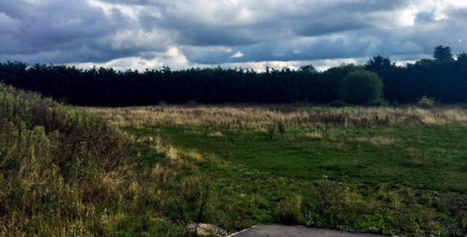 The land is mainly flat with a bund to the western boundary of the site. The remaining boundaries are marked with conifer hedges. We understand there is full access to the site via an adoptable road.

There is a pond within the site but this serves n...