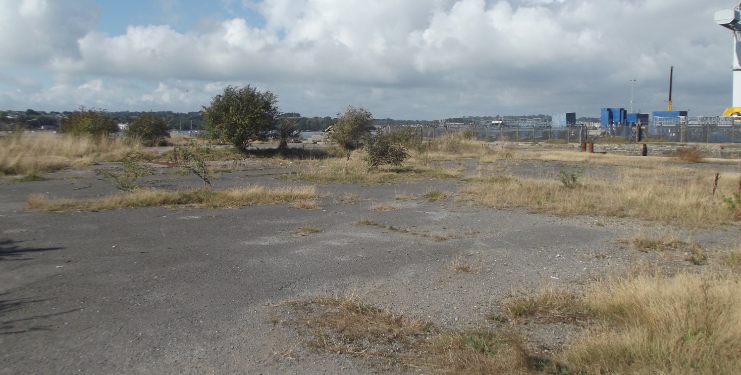 This site has been cleared of all buildings and extends to

approximately 0.44 hectares (1.08 acres) and is level

throughout. The site has formerly had a history of extensive

commercial uses, the most recent of which was for the grit

blasting of m...