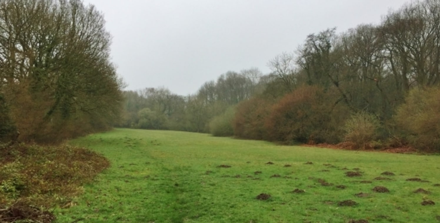 The property comprises a parcel of development land extending to approximately 2.8 acres (1.13 hectares), which falls within the ownership of Wrekin Golf Club and is currently surplus to requirements....