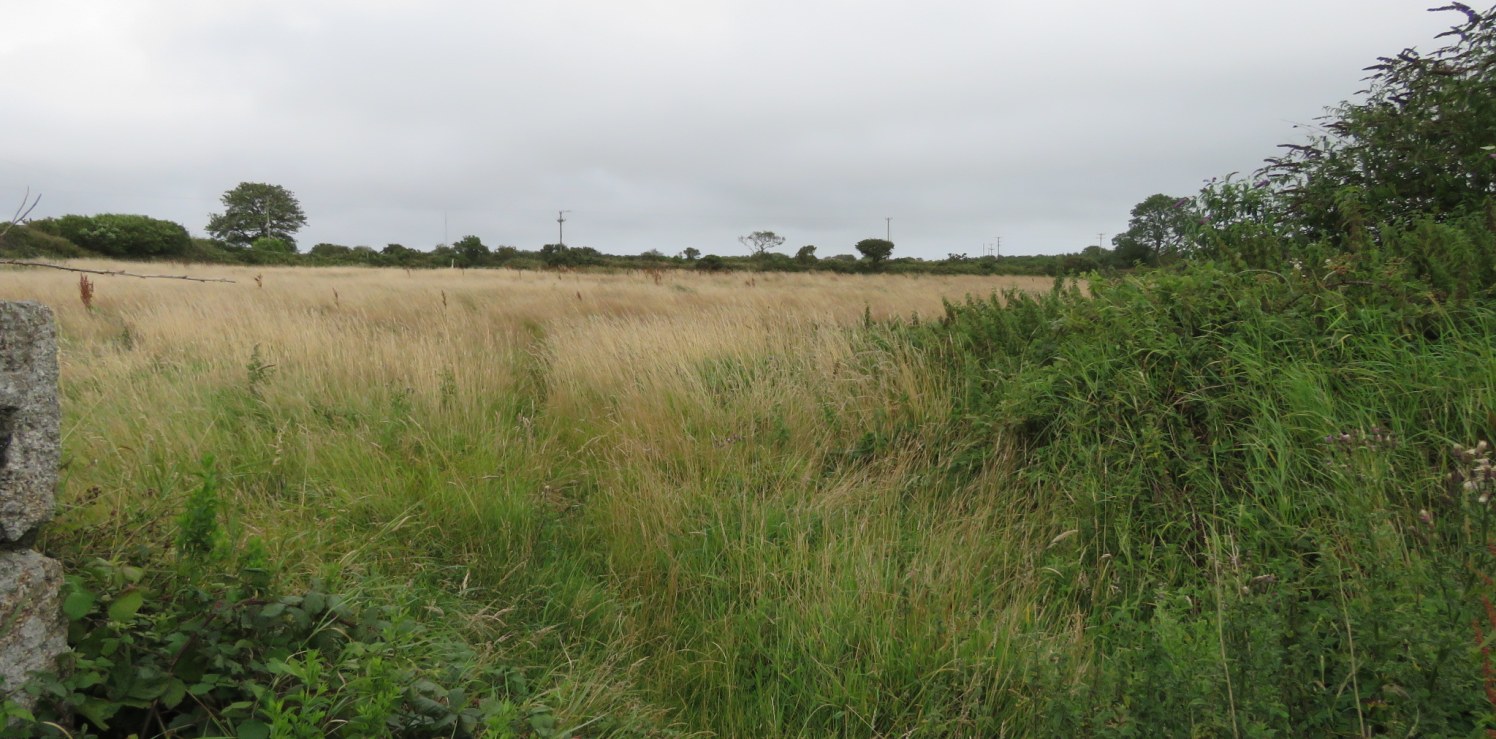 Residential Building Plots to the Rear of Grenville Arms, Conditional Planning for 2 x 3 Bedroom properties, Village Location on the outskirts of Camborne, £140,000 for both or £70,000 per plot, Plot Size Approx 0.12 acres (0.04 hectares)