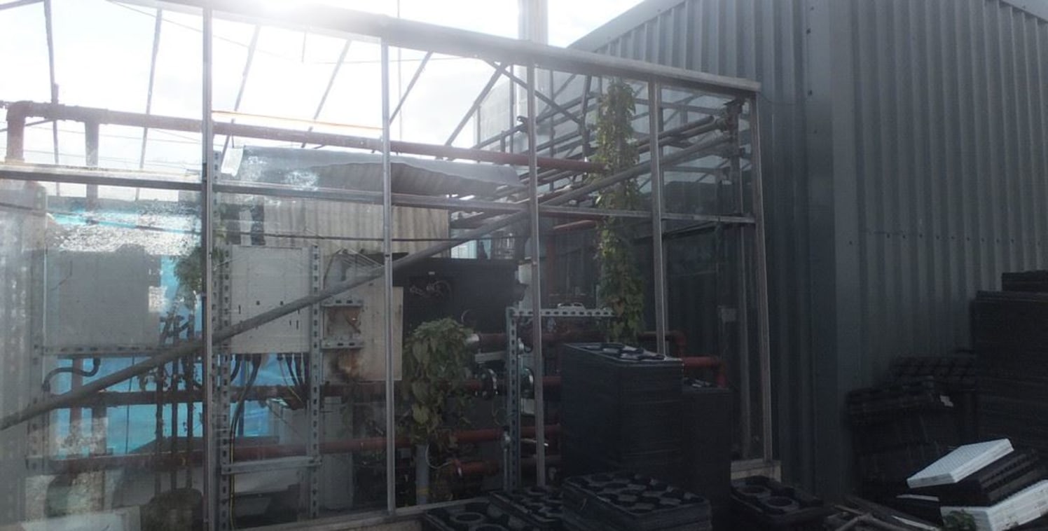 Business Opportunity to Rent a Working Ornamental Nursery

1.57 hectares (3.9 acres) 

Vehicular access to the B4215 2478m&sup2; (25600ft&sup2;) Heated Venlo glass with thermal screens 985m&sup2; (10600ft&sup2;) heated assisted glass with fan ventila...