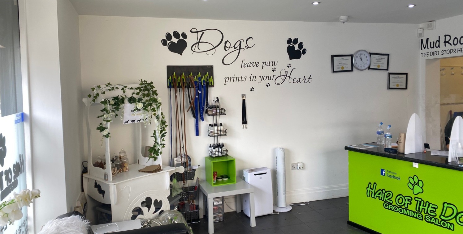 Comprising a substantial end of terraced, two storey plus basement property. At ground floor there is a lock up shop, which is presently occupied by a Dog Grooming Salon extending to approximately 541 sq ft. The salon is well established and has been...