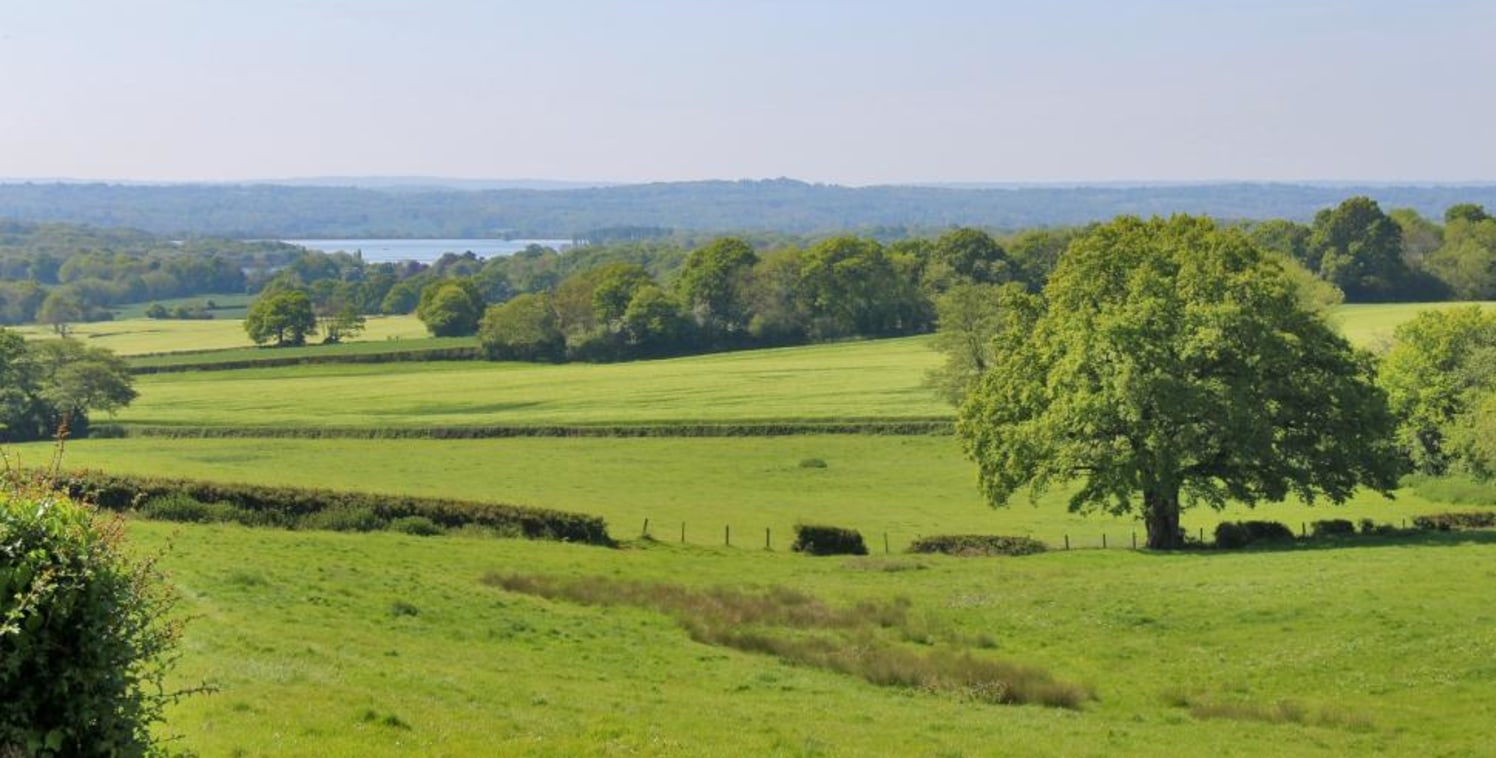 A rare opportunity to purchase a ring fenced pasture and arable farm with a detached bungalow, extensive range of livestock buildings, and approximately 118.33 acres of land in a peaceful rural location, which could give rise to viticulture opportuni...