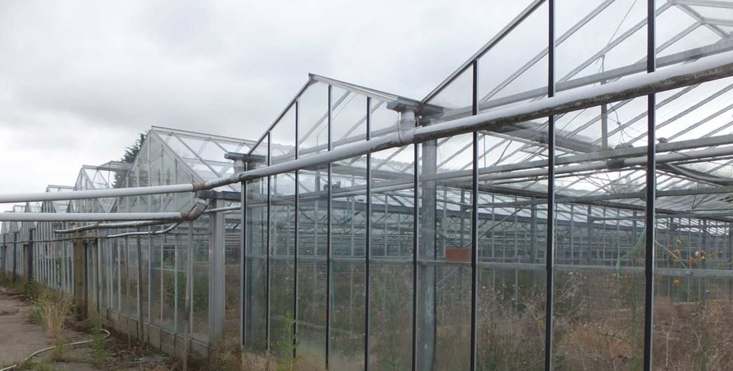 Freehold For Sale 

3.06 hectares (7.56 acres) 

Glasshouse area approximately 62,000ft&sup2; 

Agricultural sheds 280.33m&sup2; (3017ft&sup2;) 

Sale price &pound;375,000