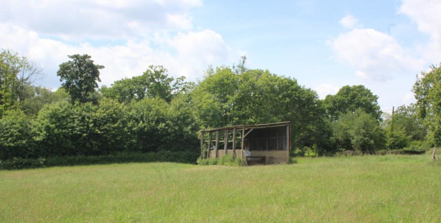 A ring-fenced parcel of agricultural land.Enclosed pasture fields, woodland and a pole barn.In all about 35 acres.