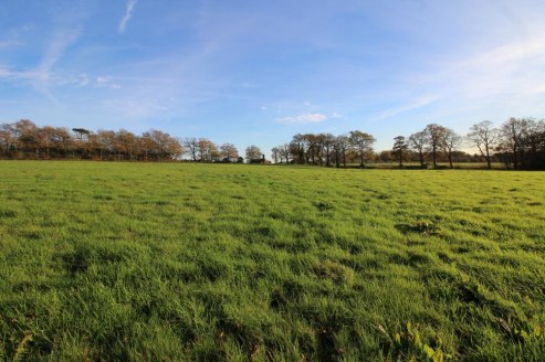 A single block of sloping pasture land enclosed by mature hedgerows. In all about 8.77 acres (3.55 hectares).